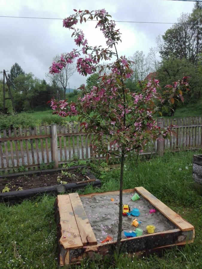 Pod Bieszczadem Villa Jasliska Bagian luar foto